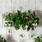 Urbanature_3