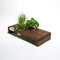 Urbanature_2