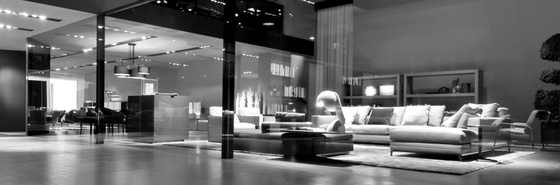 Minotti Home furniture