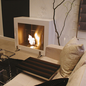 EcoSmart™ Fire DESIGNER RANGE