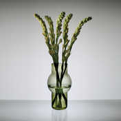 Niche Modern VASES