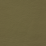 BUVETEX INT. REGENT (PU Leder)