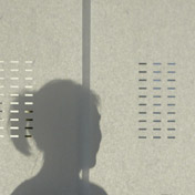 Wood & Washi PERFORATION
