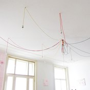 Nina Levett LAMPS