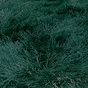 KYMO POLYESTER RANGE