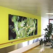 tela-design TELA FÜR KLINIK