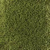 a-carpet Breeze