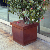 Onn Outside PLANTERS
