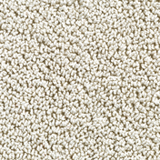 Carpet Concept TUFTEN