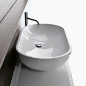 Falper BASINS
