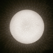 Freedom Of Creation LIGHTING