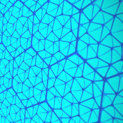Freedom Of Creation SPACE DIVIDER