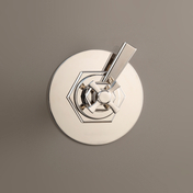 Devon&Devon SHOWER MIXER | SHOWER ROSES