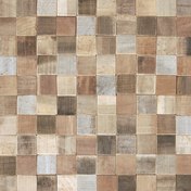 Cocomosaic ENVI MOSAIC TILES