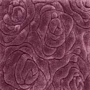 Stepevi CAMEO