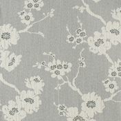 Equipo DRT SAPPORO COLLECTION