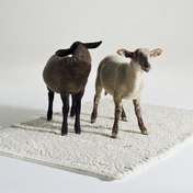 Pudelskern RUGS