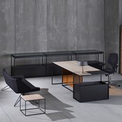 ERSA EXECUTIVE OFFICE