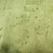 Stucco Pompeji STUCCO GESSO