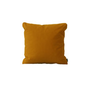 Paustian ACCESSORIES