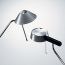 Baltensweiler Pina / Pino