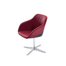 Walter Knoll Turtle