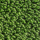 Object Carpet Pearl 1300