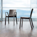 Wiesner-Hager arta