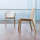 Wiesner-Hager arta
