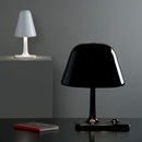 Metalarte Funghi