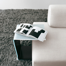 Sovet Swan