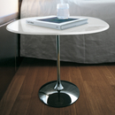 Sovet Tulip