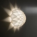 Freedom Of Creation Dahlia (D16-D32-D50)