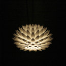 Freedom Of Creation Palm