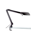 Luxo Vision