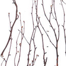 3form Europe Birch Ecoresin™ Paneel