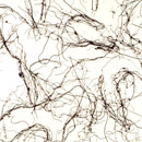 3form Europe Sonoma Ecoresin™ Paneel