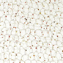 3form Europe Ithemba Ecoresin™ Paneel