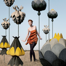 Bolon Botanic