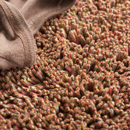 Carpet Sign Magma