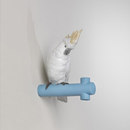 Lladró Parrot Hang