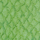 Nanai Salmon Leather Light Green