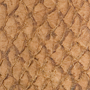 Nanai Salmon Leather Chestnut