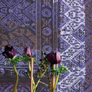 Elitis Foulards | Rajasthan