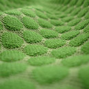 Innofa Dot
