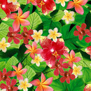 WALL & DECÒ Tropics