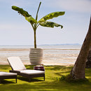 DEDON Babylon