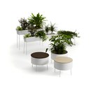 OFFECCT Green Pedestals