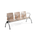 Inclass Ginger