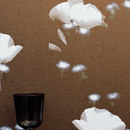 Elitis Sixdesigns | Lady Rose